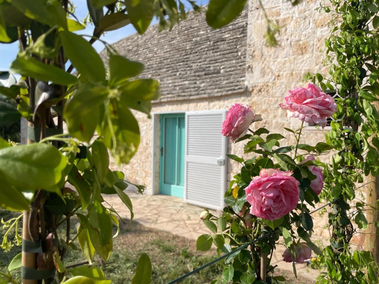 Giardino Dei Trulli Cummerse Faccia di Trippa di Monte 외부 사진